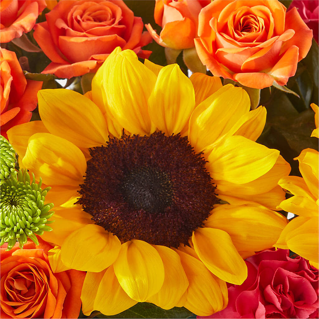 Sun-drenched Blooms Box Bouquet –  Floreria Principe De Paz Llc, Somerset NJ