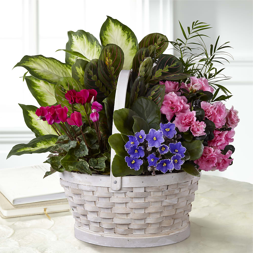 Peaceful Garden Planter –  Floreria Principe De Paz Llc, Somerset NJ