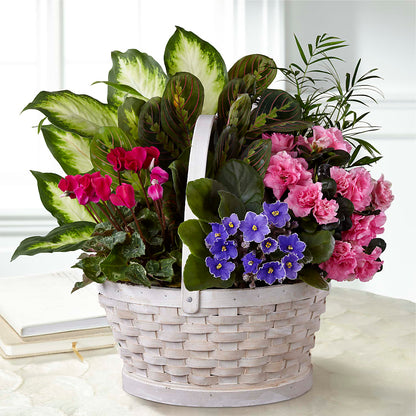 Peaceful Garden Planter –  Floreria Principe De Paz Llc, Somerset NJ