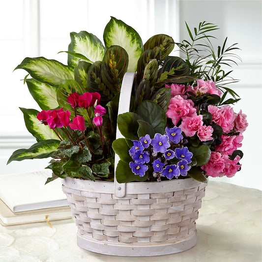 Peaceful Garden Planter –  Floreria Principe De Paz Llc, Somerset NJ