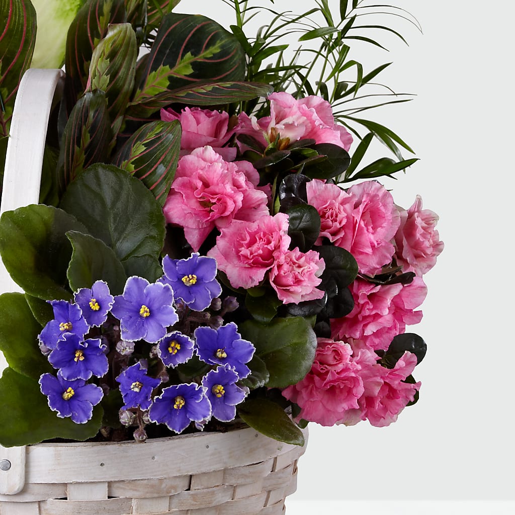 Peaceful Garden Planter –  Floreria Principe De Paz Llc, Somerset NJ
