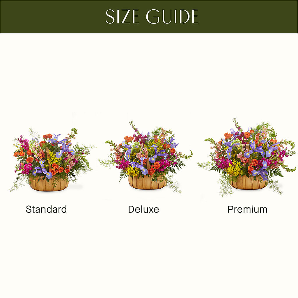 Garden of Life Basket –  Floreria Principe De Paz Llc, Somerset NJ