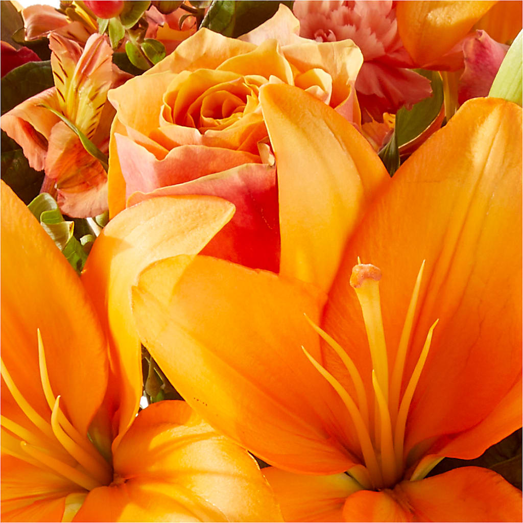 Afternoon Light Bouquet –  Floreria Principe De Paz Llc, Somerset NJ