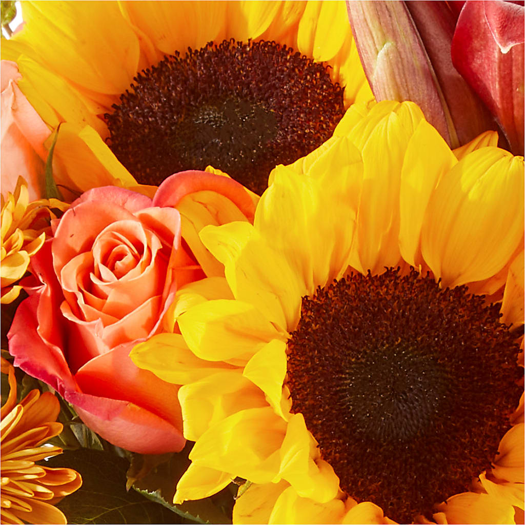 Acorn Lane Bouquet –  Floreria Principe De Paz Llc, Somerset NJ