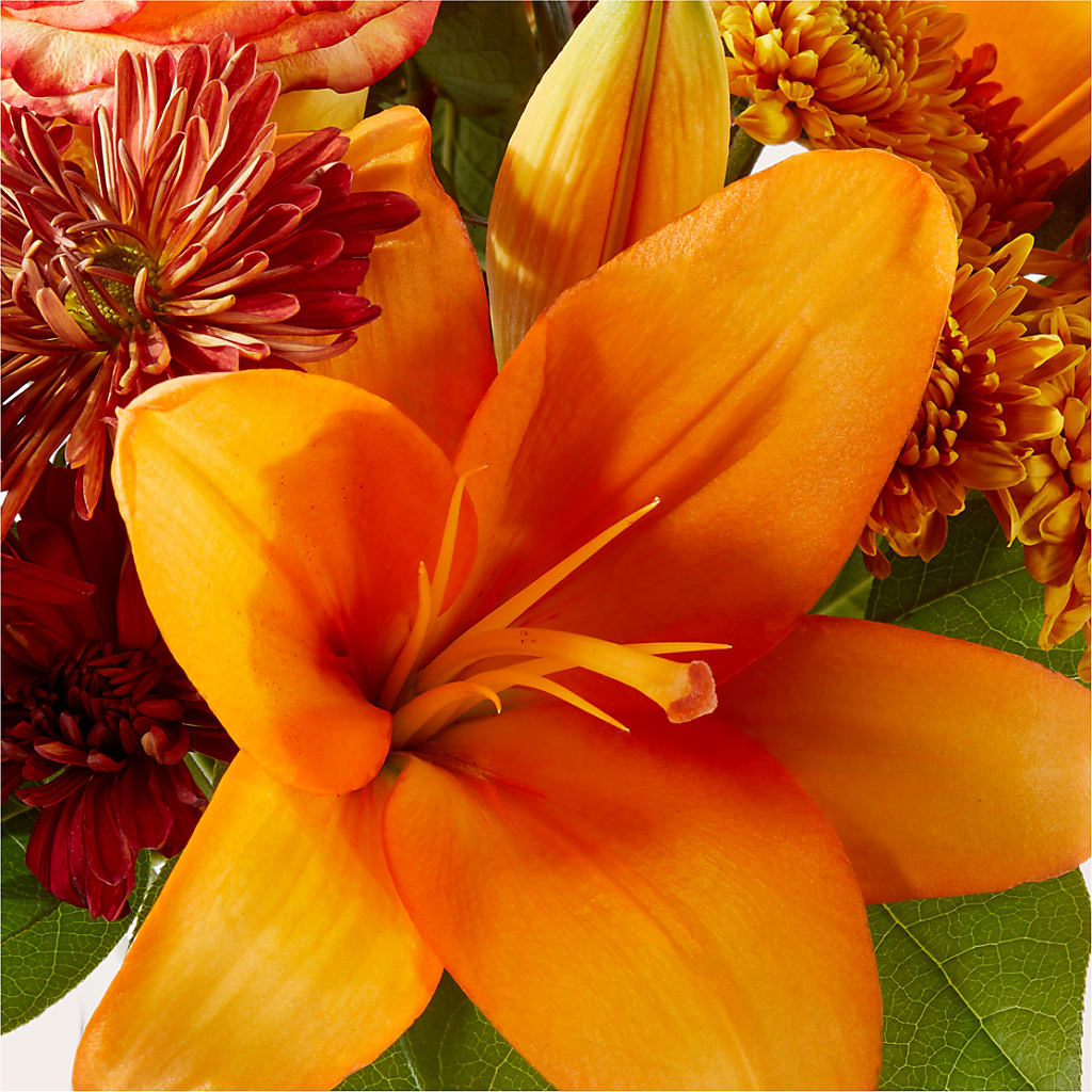 Autumnal Aroma Bouquet –  Floreria Principe De Paz Llc, Somerset NJ