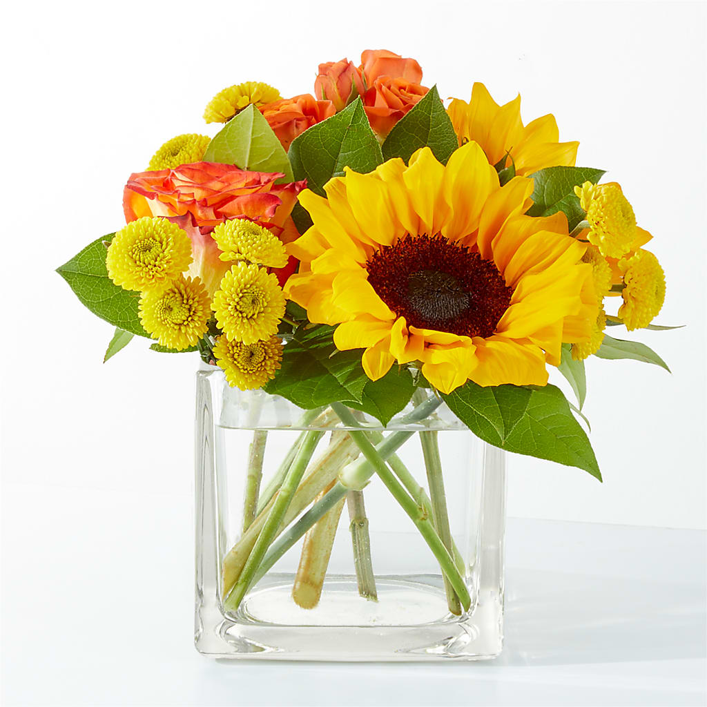 Picnic in the Park Bouquet –  Floreria Principe De Paz Llc, Somerset NJ