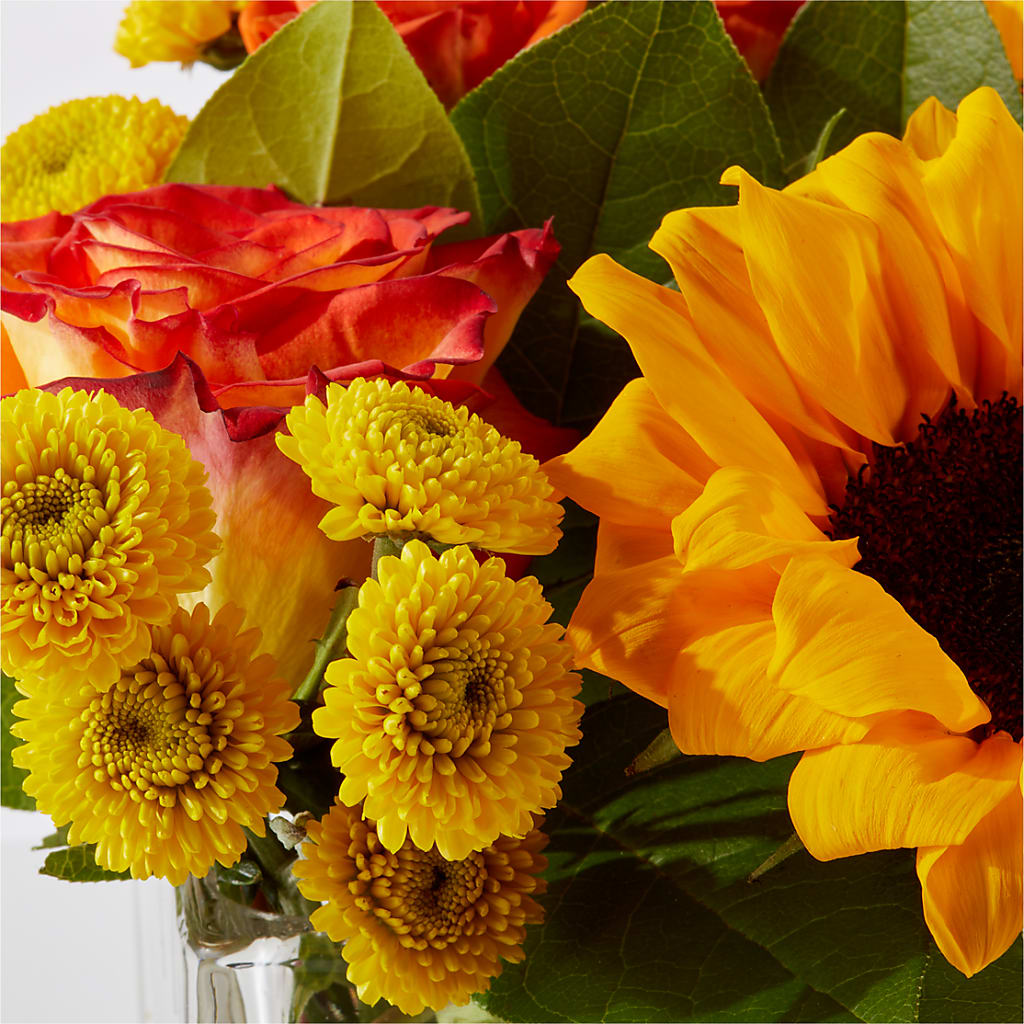 Picnic in the Park Bouquet –  Floreria Principe De Paz Llc, Somerset NJ