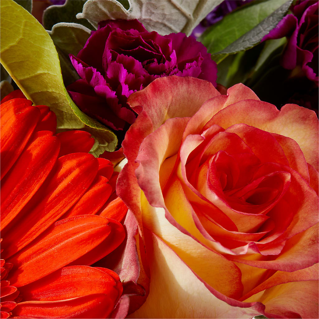 Sangria Bouquet –  Floreria Principe De Paz Llc, Somerset NJ