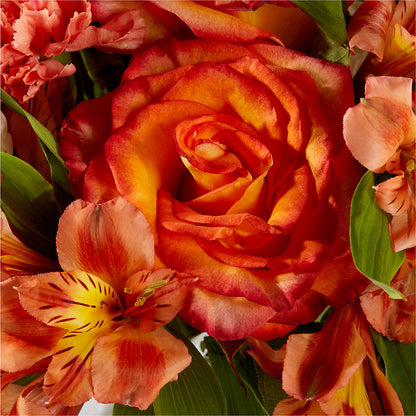 Apricot Glow Bouquet –  Floreria Principe De Paz Llc, Somerset NJ