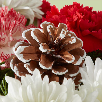 Candy Cane Lane Bouquet –  Floreria Principe De Paz Llc, Somerset NJ