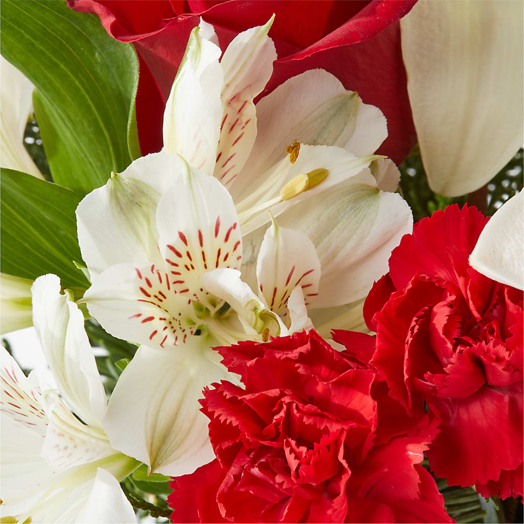 Holiday Season Bouquet –  Floreria Principe De Paz Llc, Somerset NJ