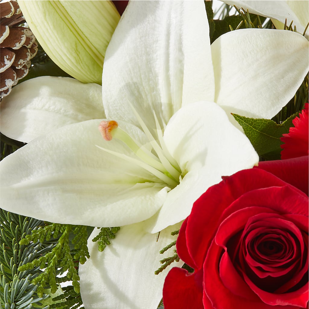 Oh So Jolly Bouquet –  Floreria Principe De Paz Llc, Somerset NJ