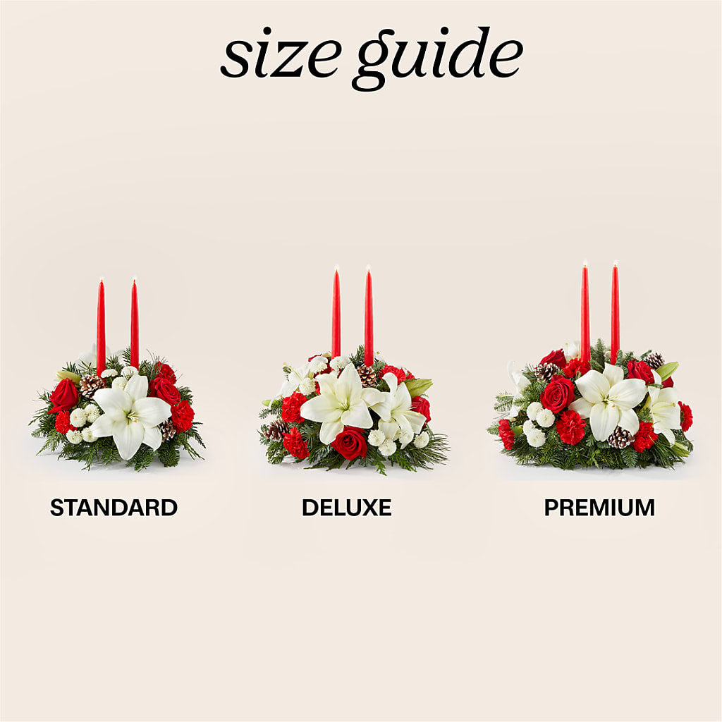 Seasonal Festivities Centerpiece –  Floreria Principe De Paz Llc, Somerset NJ