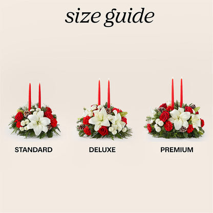 Seasonal Festivities Centerpiece –  Floreria Principe De Paz Llc, Somerset NJ