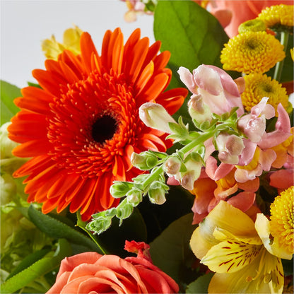 Autumn Sunshine Bouquet –  Floreria Principe De Paz Llc, Somerset NJ