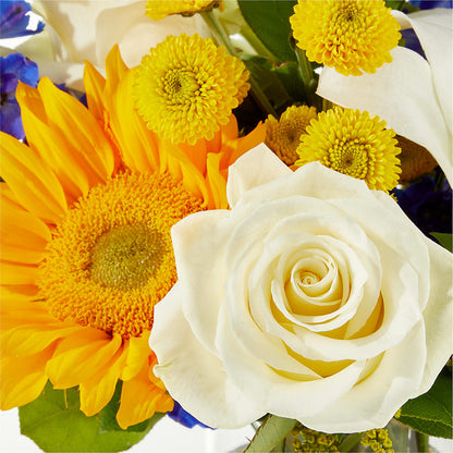 Stargazing Bouquet –  Floreria Principe De Paz Llc, Somerset NJ