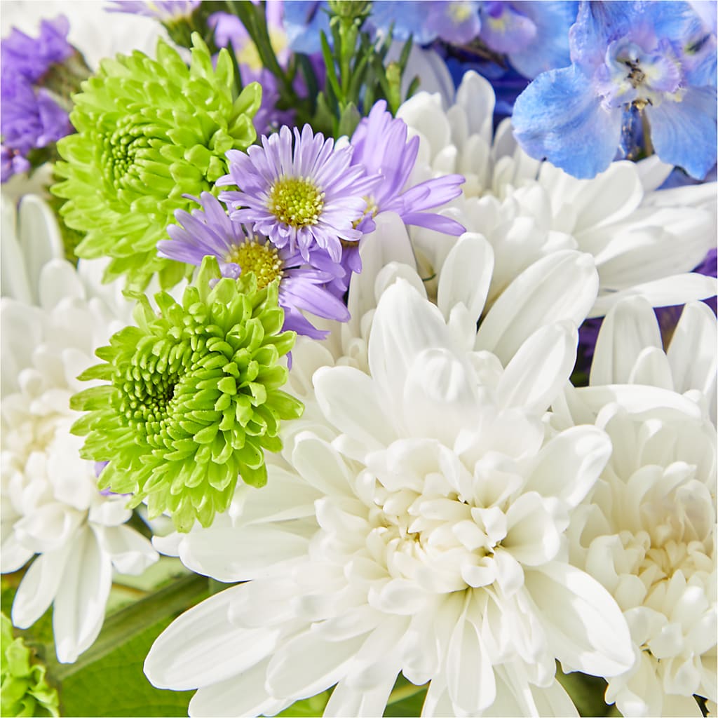 Genuine Gestures Bouquet –  Floreria Principe De Paz Llc, Somerset NJ