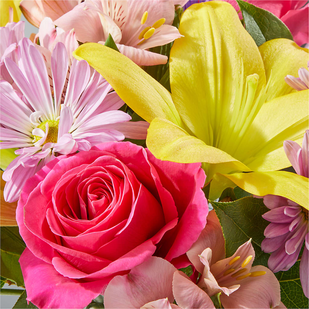 Sprinkles Bouquet –  Floreria Principe De Paz Llc, Somerset NJ