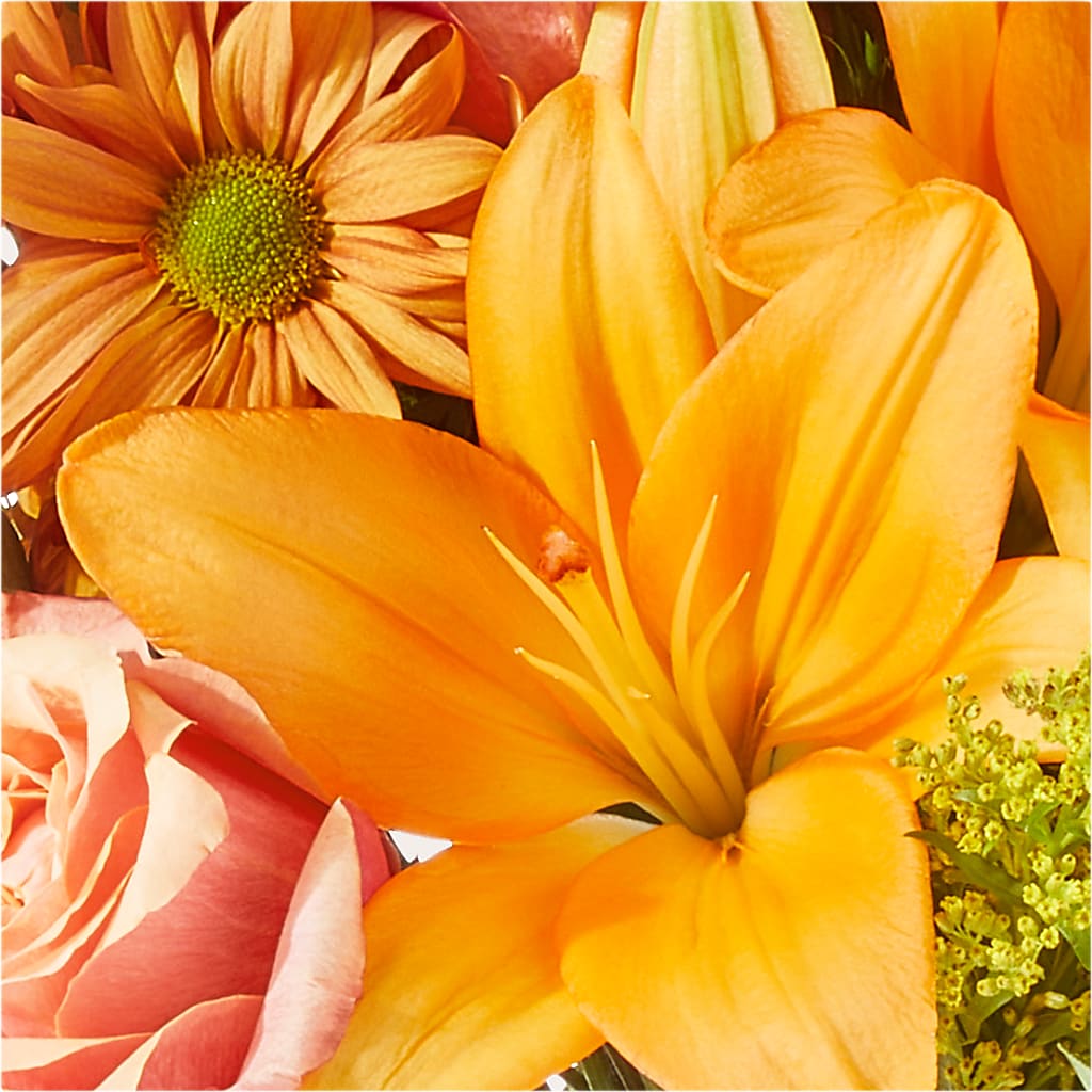 Harvest Hayride Bouquet –  Floreria Principe De Paz Llc, Somerset NJ