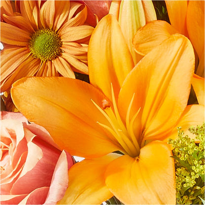 Harvest Hayride Bouquet –  Floreria Principe De Paz Llc, Somerset NJ