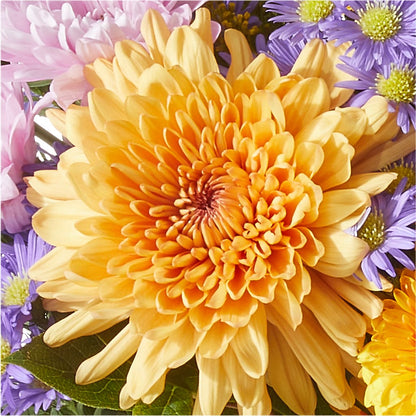 Countryside Bouquet –  Floreria Principe De Paz Llc, Somerset NJ