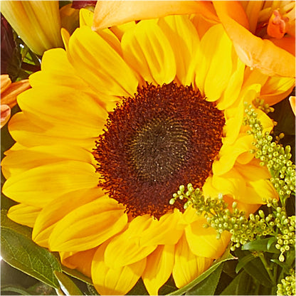 Seasons Change Bouquet –  Floreria Principe De Paz Llc, Somerset NJ