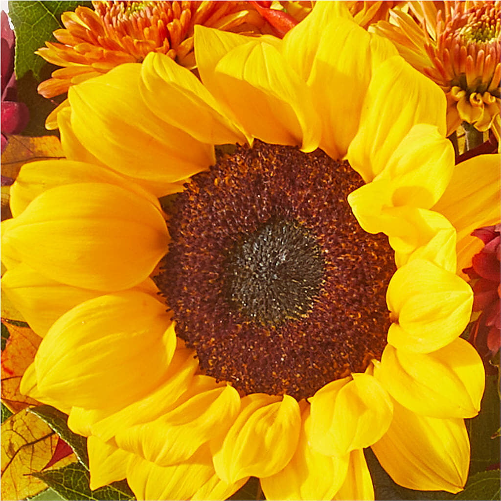 Sunny Side Bouquet –  Floreria Principe De Paz Llc, Somerset NJ