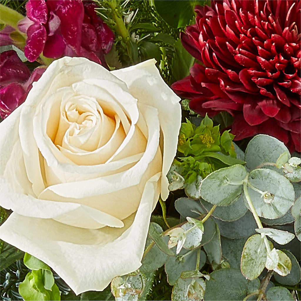 Cranberry Fizz Bouquet –  Floreria Principe De Paz Llc, Somerset NJ