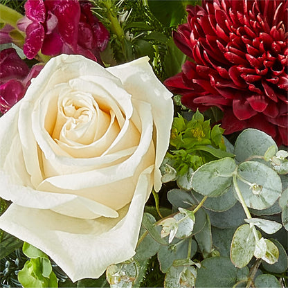 Cranberry Fizz Bouquet –  Floreria Principe De Paz Llc, Somerset NJ