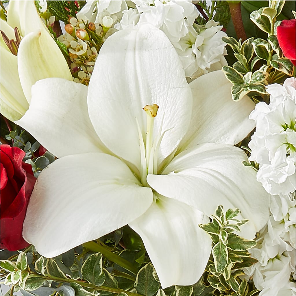Twinkle Lights Bouquet –  Floreria Principe De Paz Llc, Somerset NJ