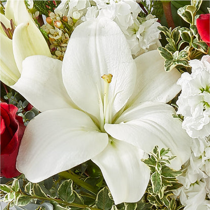 Twinkle Lights Bouquet –  Floreria Principe De Paz Llc, Somerset NJ
