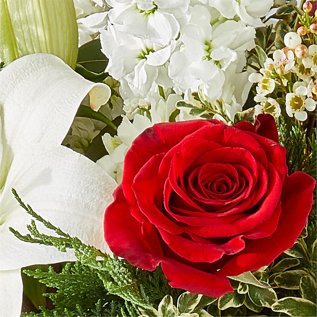 Twinkle Lights Bouquet –  Floreria Principe De Paz Llc, Somerset NJ