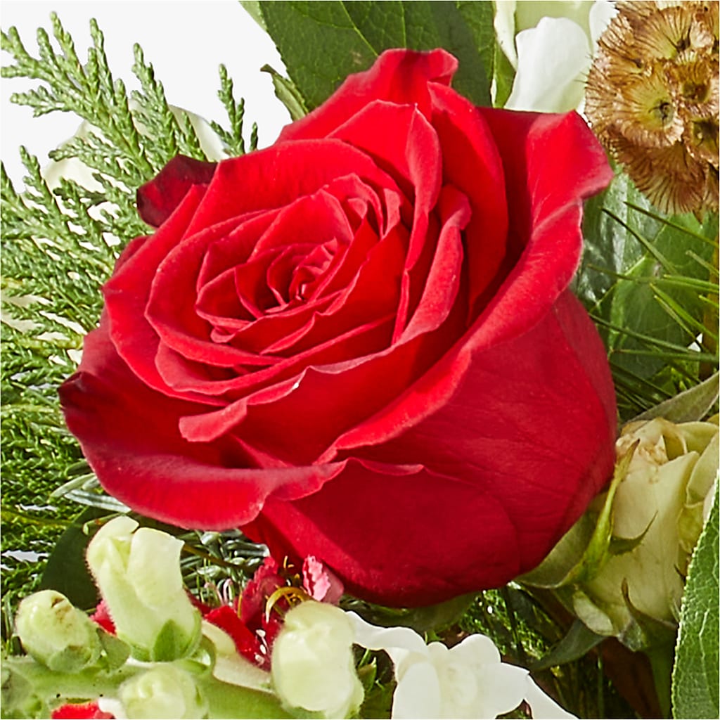 Deck the Halls Bouquet –  Floreria Principe De Paz Llc, Somerset NJ