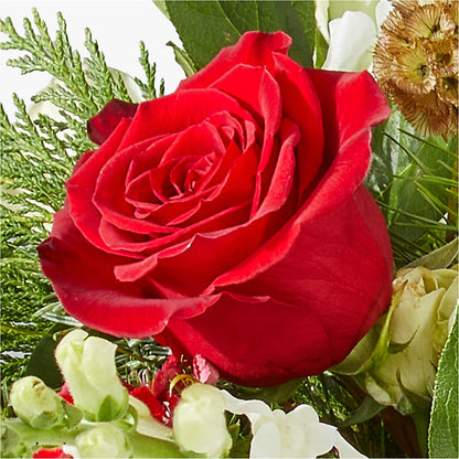 Deck the Halls Bouquet –  Floreria Principe De Paz Llc, Somerset NJ