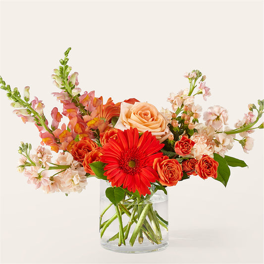 Paloma Please Bouquet –  Floreria Principe De Paz Llc, Somerset NJ