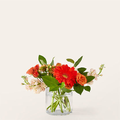 Paloma Please Bouquet –  Floreria Principe De Paz Llc, Somerset NJ