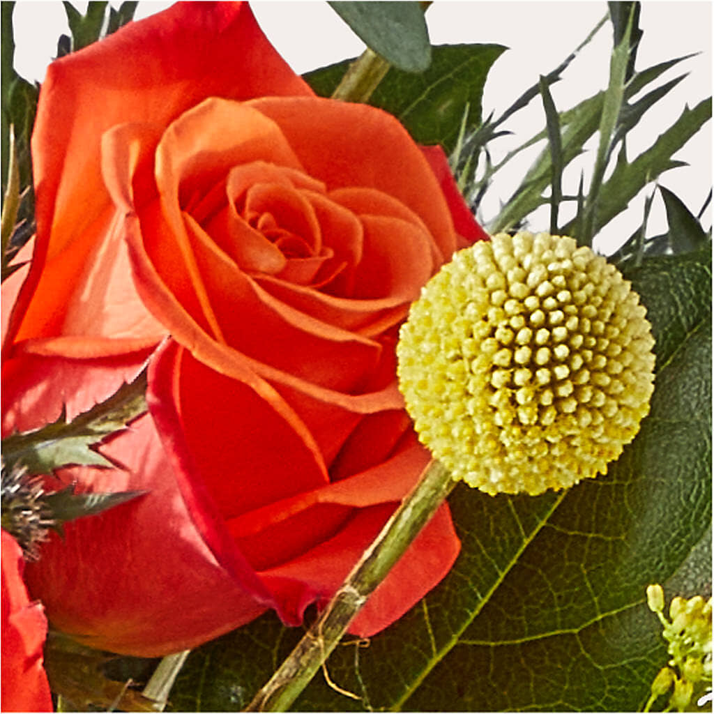 Disco Bouquet –  Floreria Principe De Paz Llc, Somerset NJ