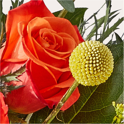Disco Bouquet –  Floreria Principe De Paz Llc, Somerset NJ