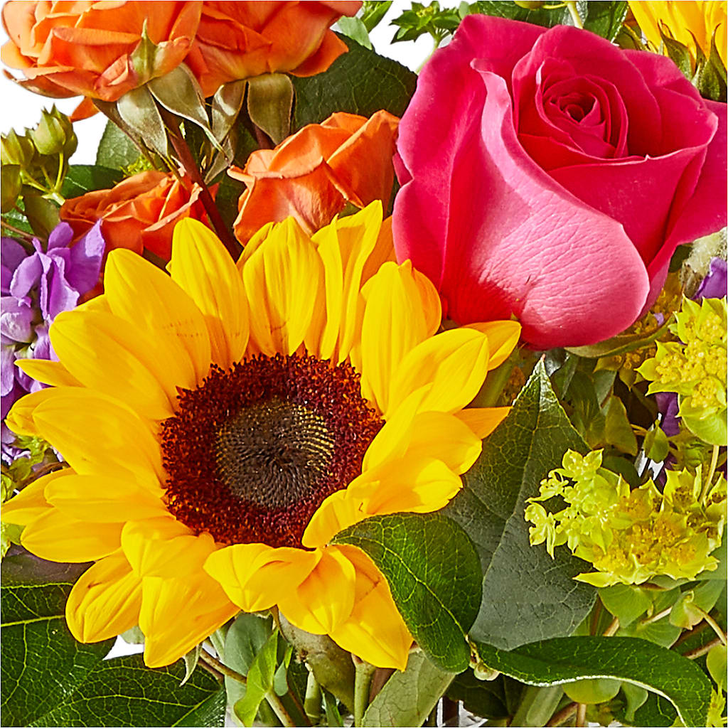 Vibrant Greetings Bouquet –  Floreria Principe De Paz Llc, Somerset NJ