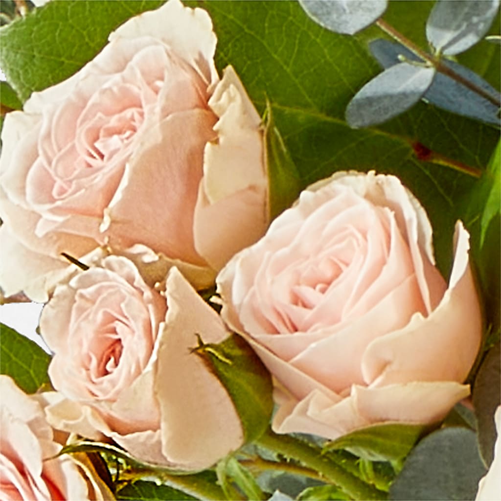Inspired Bouquet –  Floreria Principe De Paz Llc, Somerset NJ