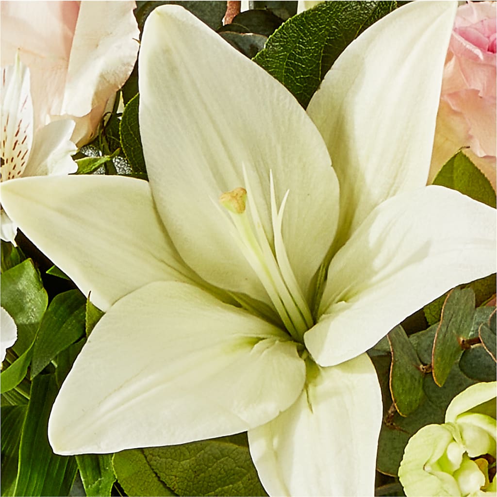 Ballet Slippers Bouquet –  Floreria Principe De Paz Llc, Somerset NJ