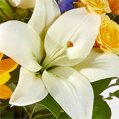 Wonderfully Sunny Bouquet –  Floreria Principe De Paz Llc, Somerset NJ