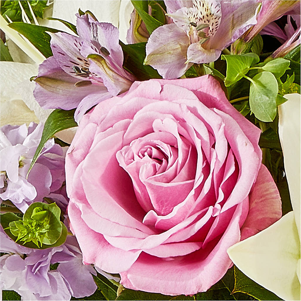 Daydreamer Bouquet –  Floreria Principe De Paz Llc, Somerset NJ
