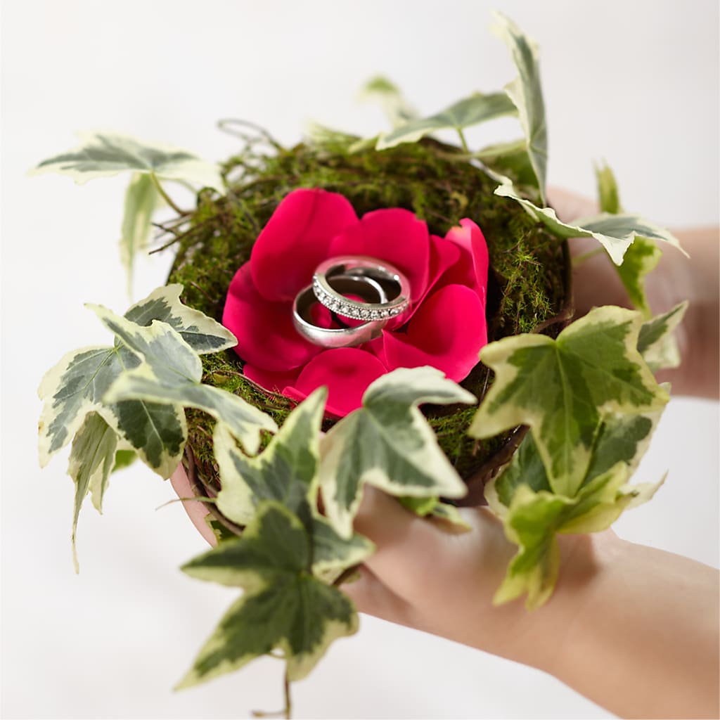 Lila Rose Ring Nest –  Floreria Principe De Paz Llc, Somerset NJ