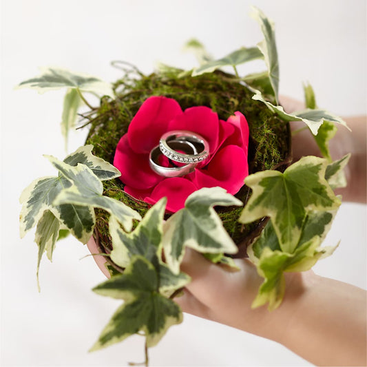 Lila Rose Ring Nest –  Floreria Principe De Paz Llc, Somerset NJ