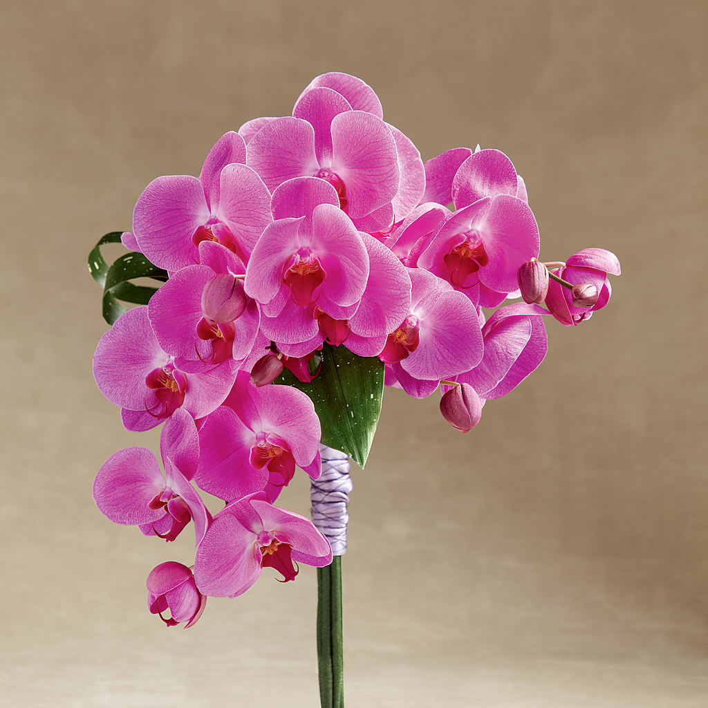 Glorious Bouquet –  Floreria Principe De Paz Llc, Somerset NJ