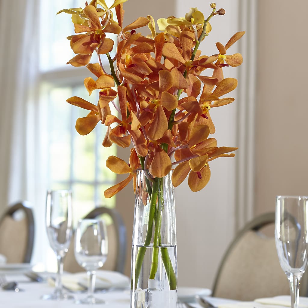 Orange Mokara Bud Vase –  Floreria Principe De Paz Llc, Somerset NJ