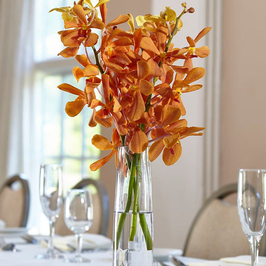 Orange Mokara Bud Vase –  Floreria Principe De Paz Llc, Somerset NJ