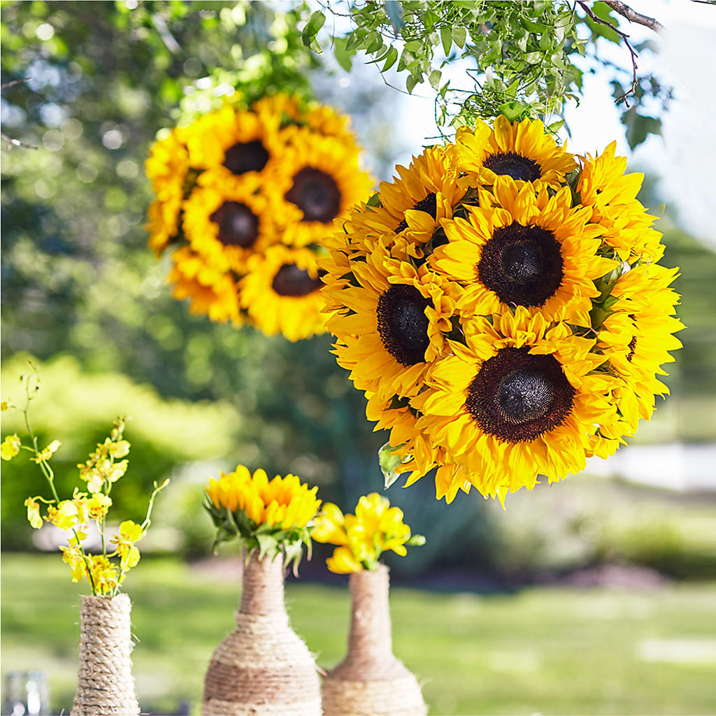 Sublime Garden Hanging Arrangement –  Floreria Principe De Paz Llc, Somerset NJ