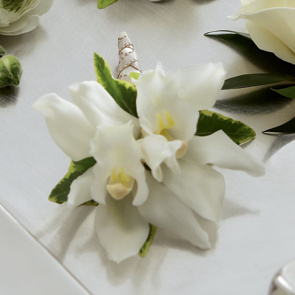 White Mini Cymbidium Boutonniere –  Floreria Principe De Paz Llc, Somerset NJ